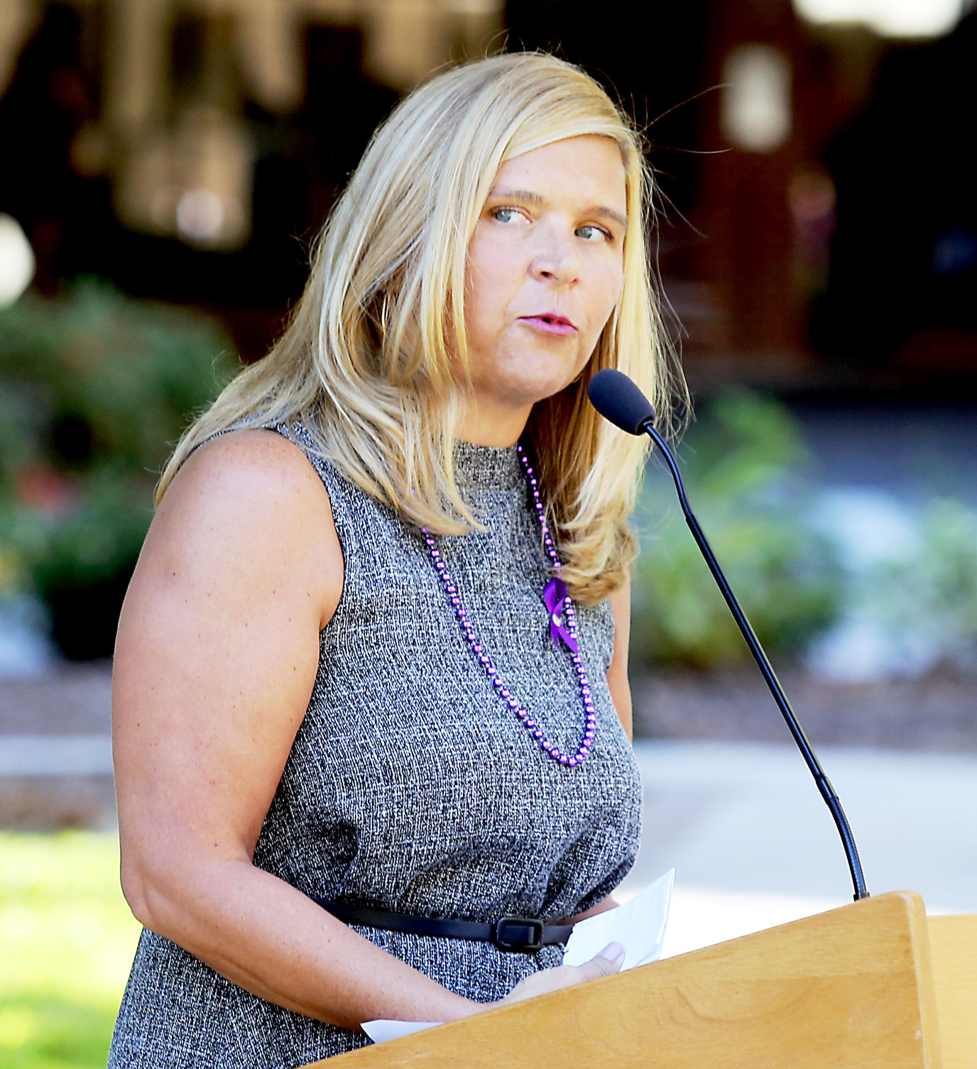 Domestic Violence Rally